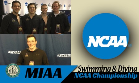 Albion Finishes 13th at NCAA Men's Swimming & Diving Championship