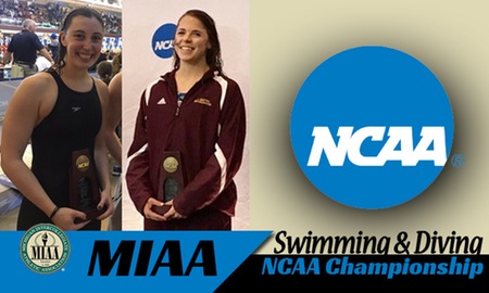 Calvin Finishes 12th at NCAA Women's Swimming & Diving Championship